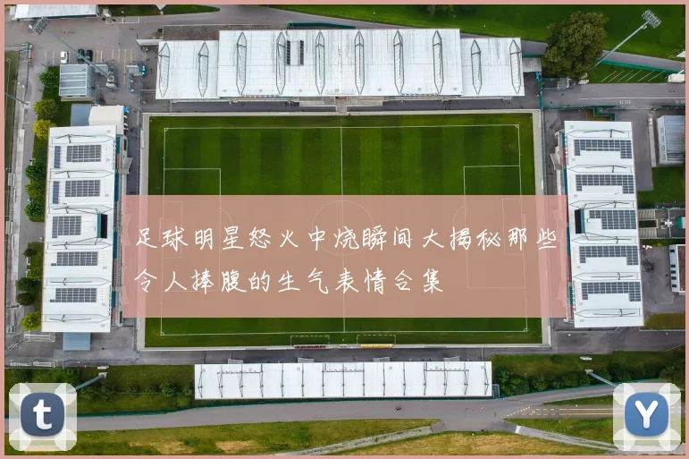 足球明星怒火中烧瞬间大揭秘那些令人捧腹的生气表情合集